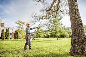 Seasonal Cleanup (Spring/Fall) in Sunset Hills, MO